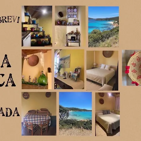 Affitti Brevi Tzia Licca B&B